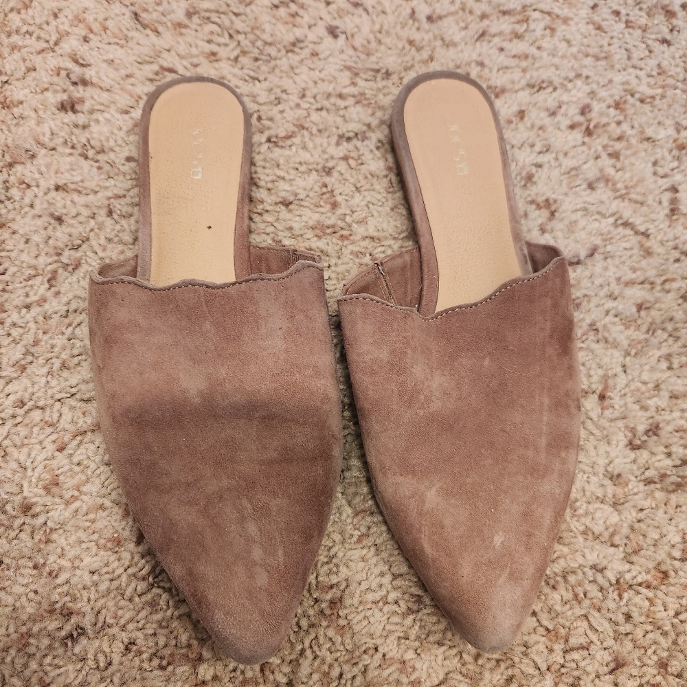 Joe's flats size 8.5